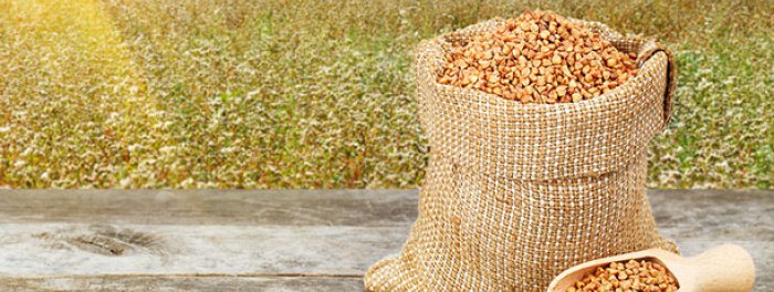 Hessian bag in farm